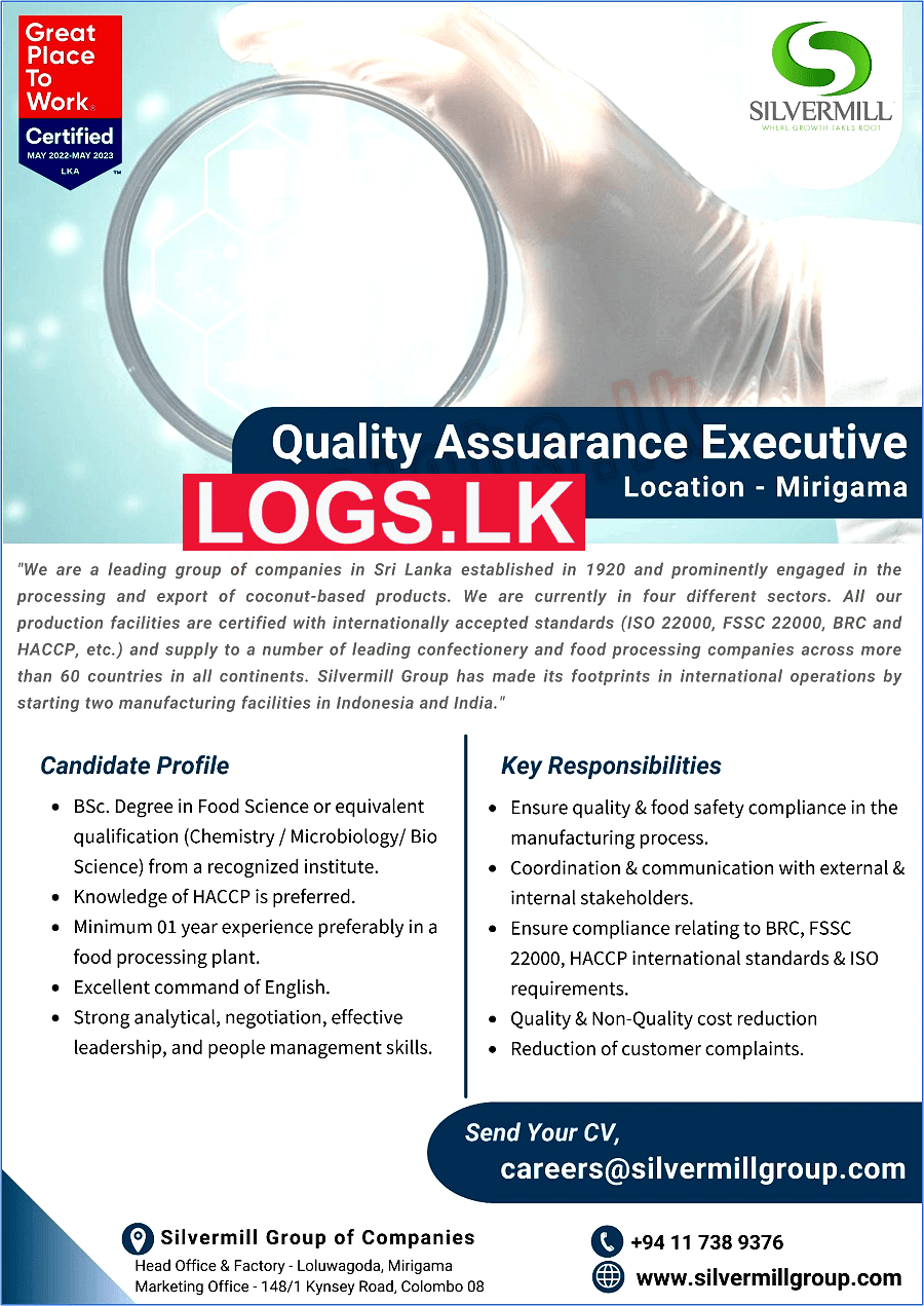 Quality Assurance Executive Job Vacancy At Silvermill Group   Quality Assurance Executive Job Vacancy At Silvermill 